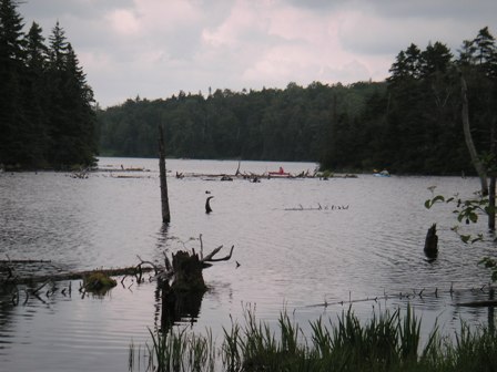 Adams Reservoir, Woodford SP